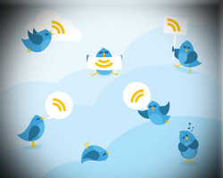 birdvignette
